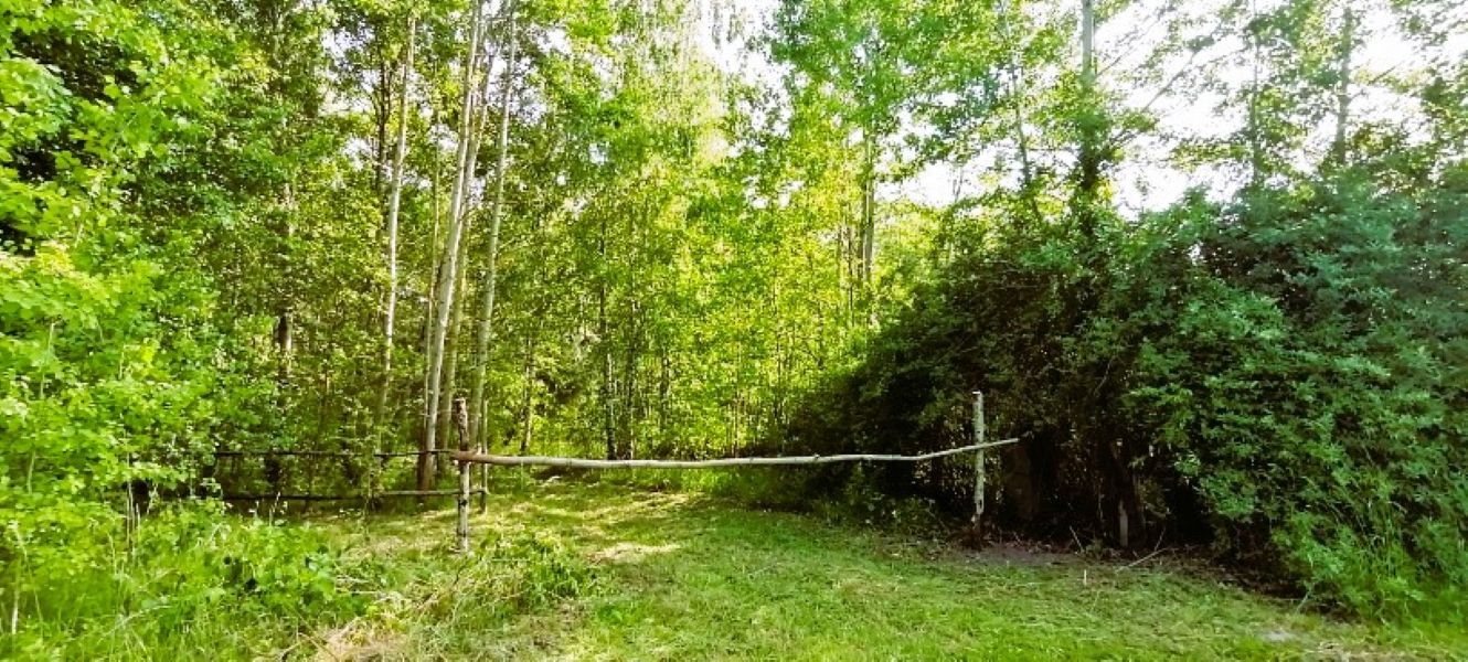 Działka z warunkami zabudowy – Franciszków, gm. Lutomiersk - Widok 2