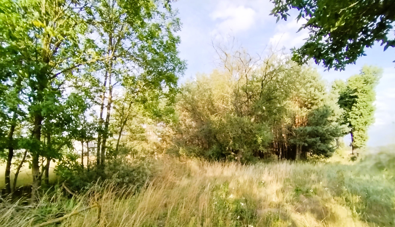 Działka gmina Wodzierady, Hipolitów, MPZP - Więcej