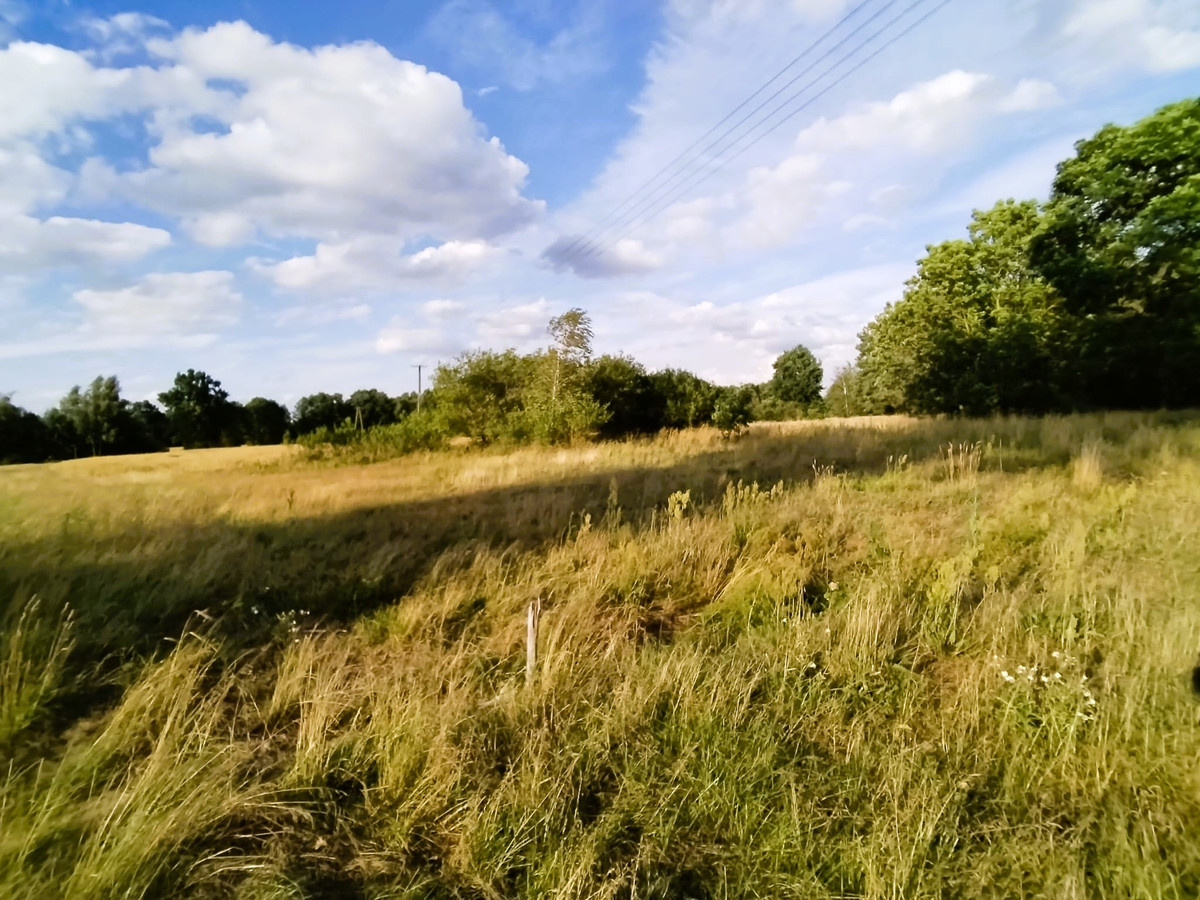 Działka gmina Wodzierady, Hipolitów, MPZP - Widok 2