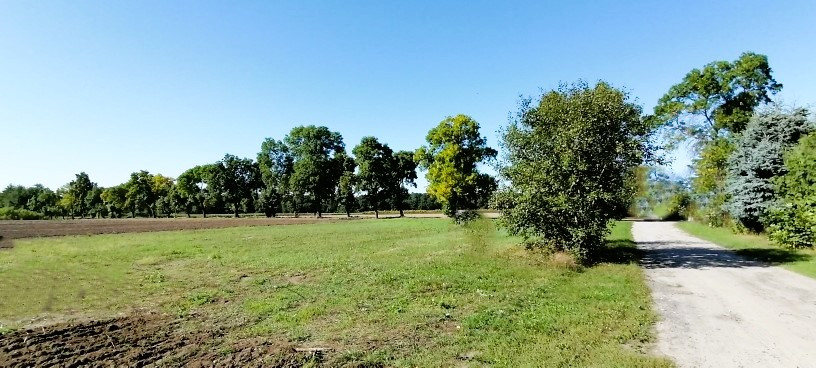 Działka budowlana 2002 m² z MPZP | Wodzierady | Szeroki front 34 m - Więcej
