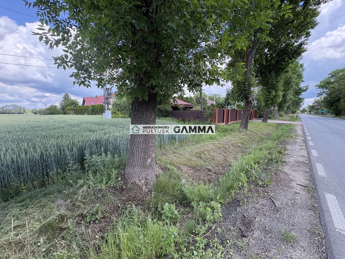 Na sprzedaż działka rolna 1,5 ha blisko trasu DK61 - Widok 2