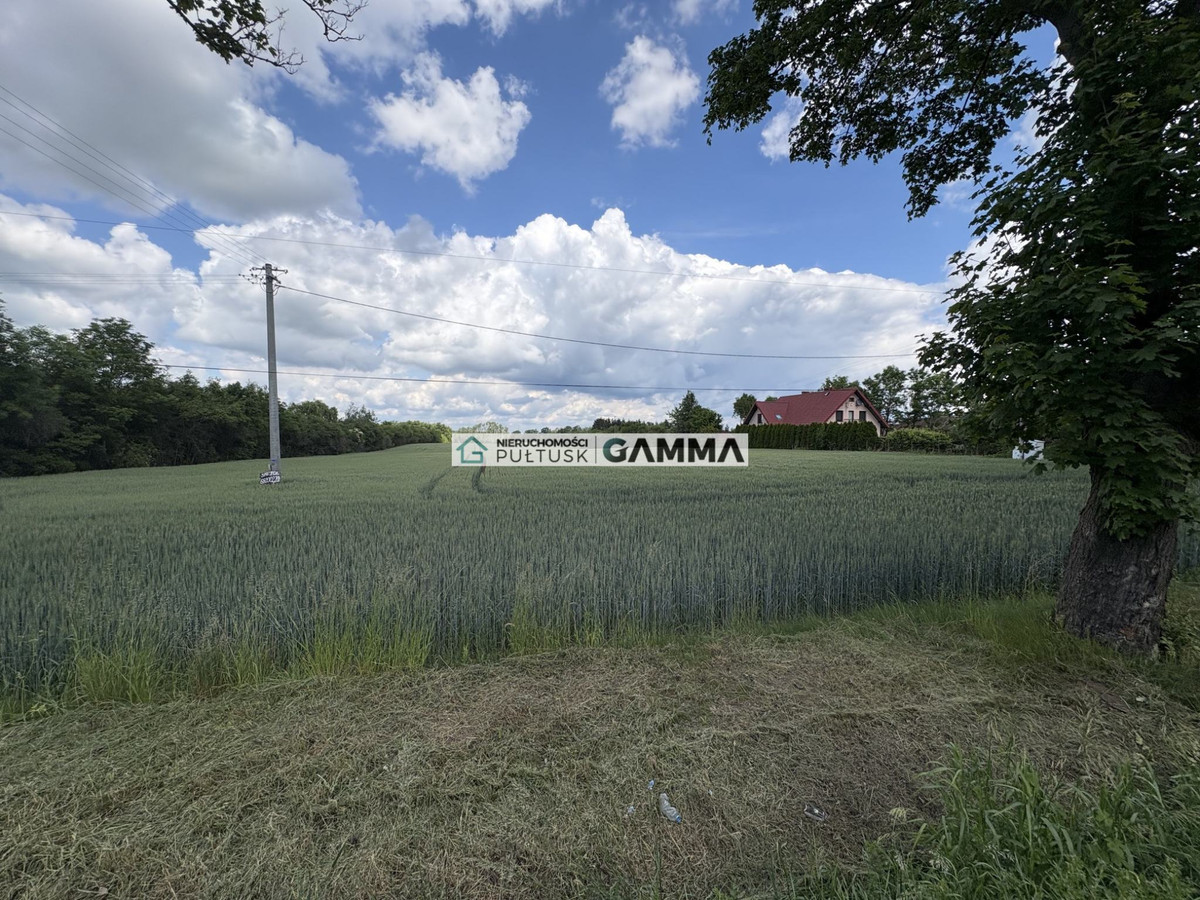 Na sprzedaż działka rolna 1,5 ha blisko trasu DK61 - Widok 4