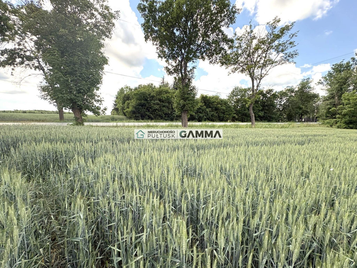 Na sprzedaż działka rolna 1,5 ha blisko trasu DK61 - Widok 6
