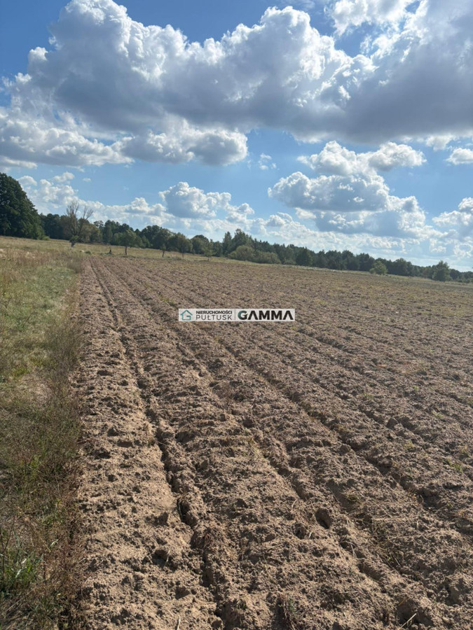 Sprzedam działkę pod rekreacje do podziału - Widok 5