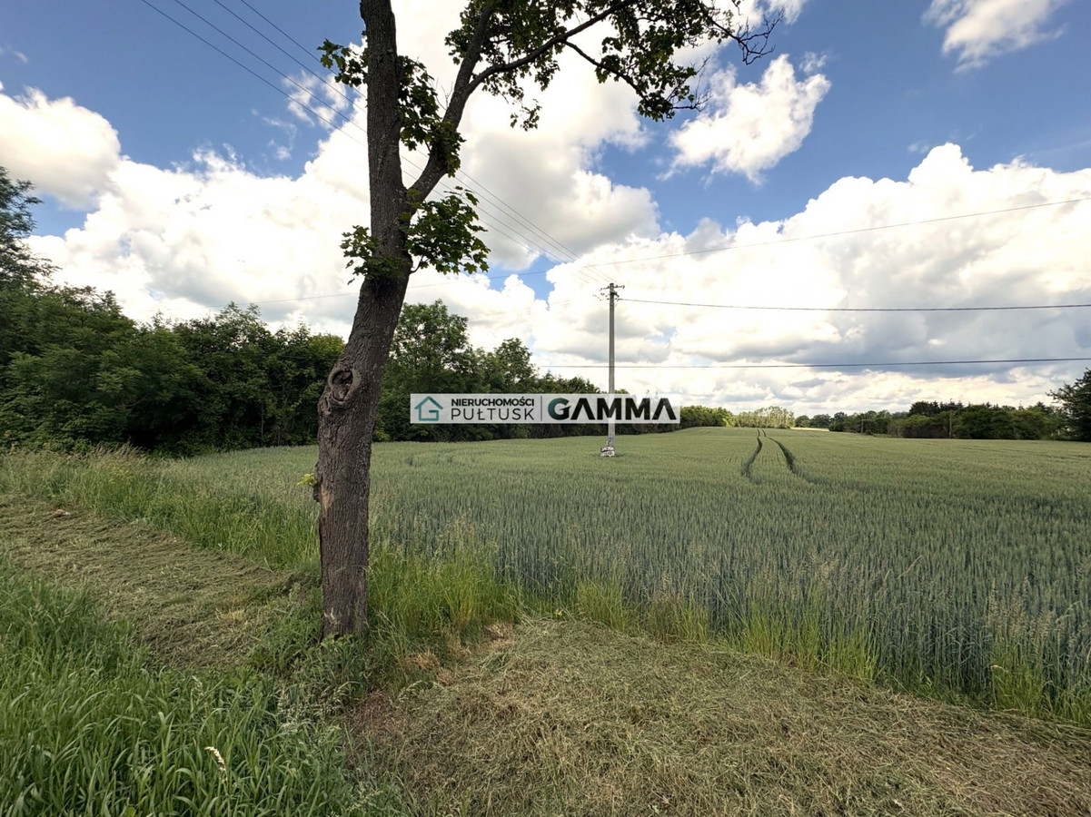 Na sprzedaż działka rolna 1,5 ha blisko trasu DK61 - Widok 5
