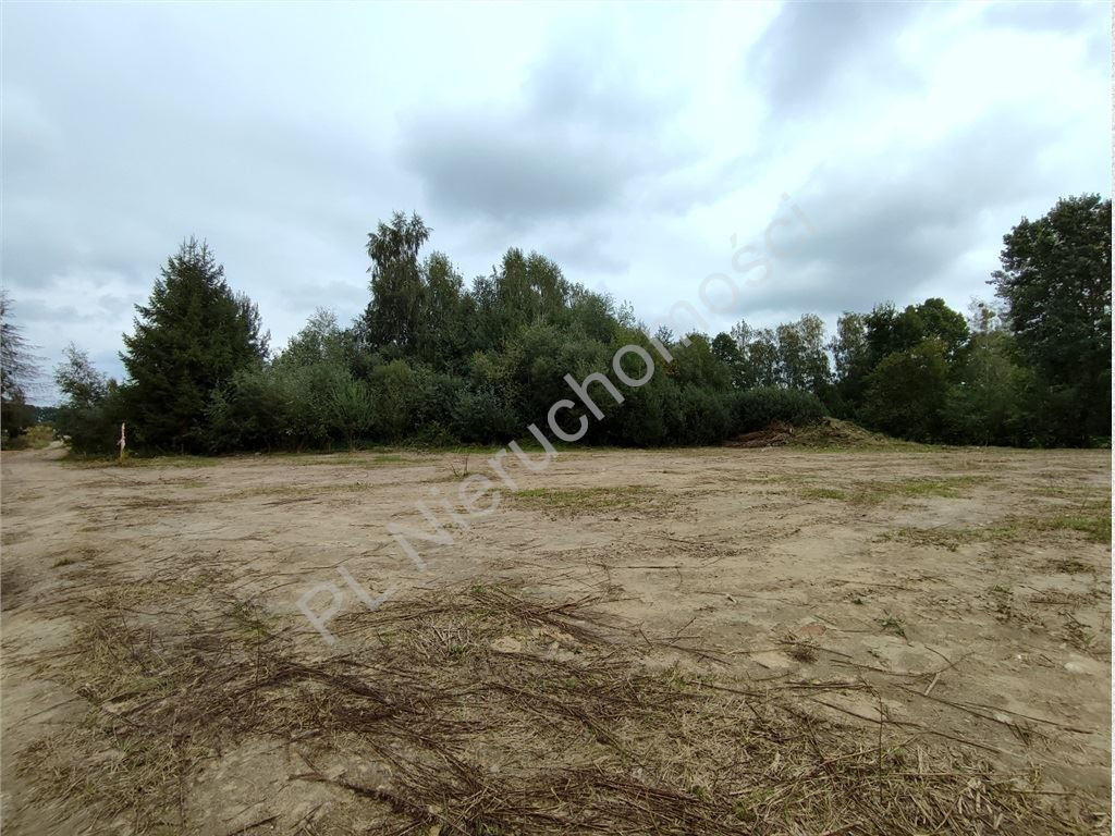 gratka-G-89541-5 - Widok 5