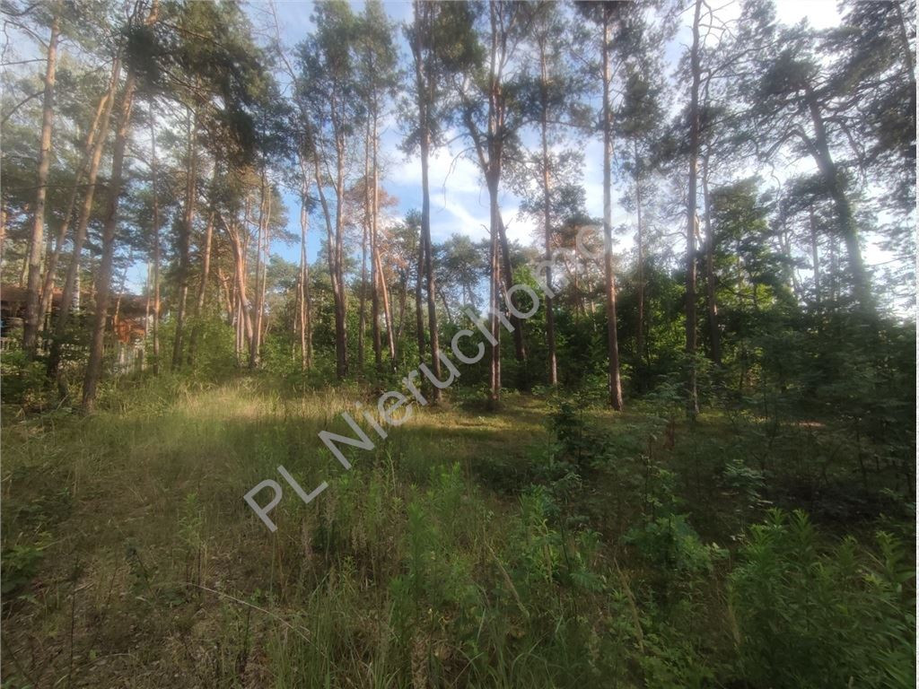 Działka budowlana w Międzyborowie- 500m od szkoły - Widok 2