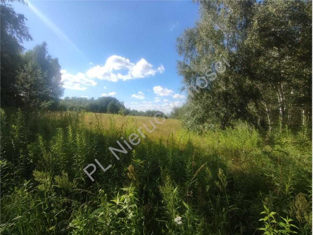 3,79 HA GRUNTU Z MPZP– BIEGANÓW - Więcej