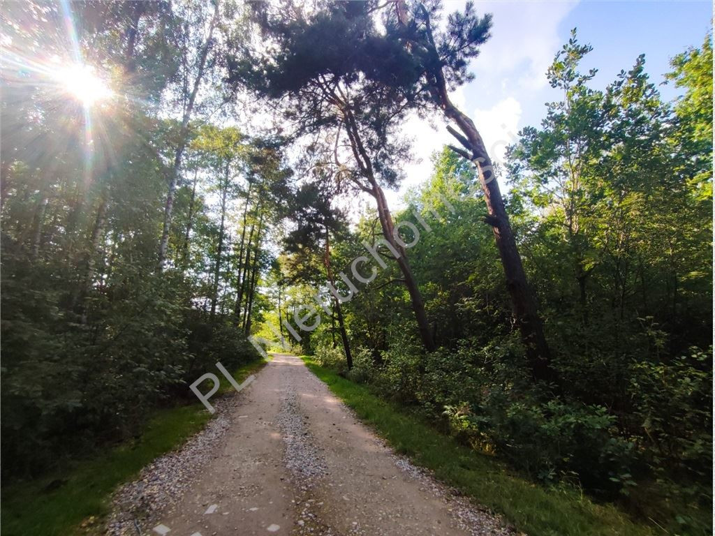 Spokój Czarnego Lasu, bliskość Warszawy - Widok 4