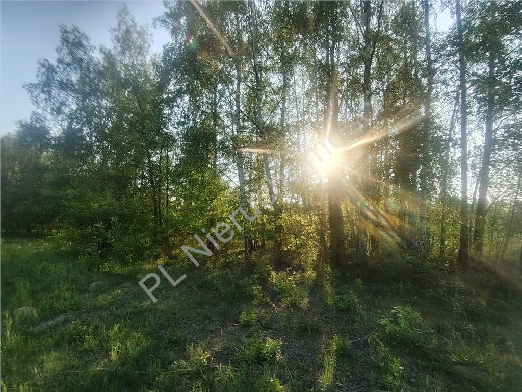 Opypy- 2210 m²- działka pod dom- MPZP - Widok 2