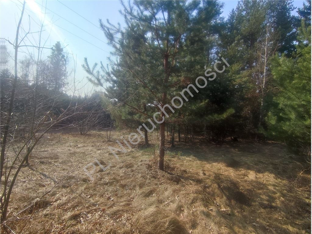 Działka budowlana w Wolicy– idealna pod dom - Widok 4