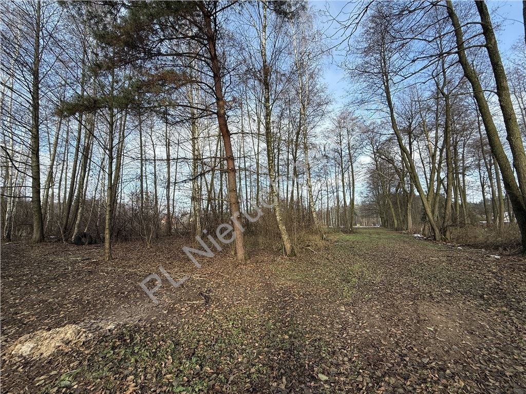 gratka-G-93413-6 - Widok 3