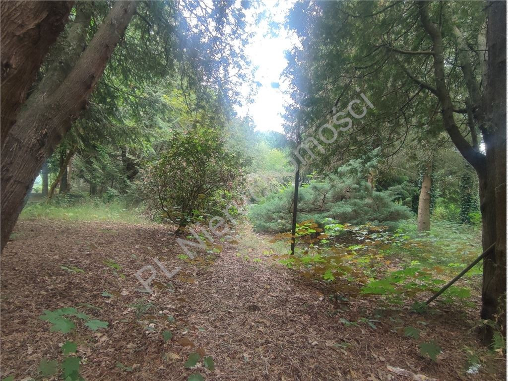 1717 m² w sercu Podkowy Leśnej - Więcej