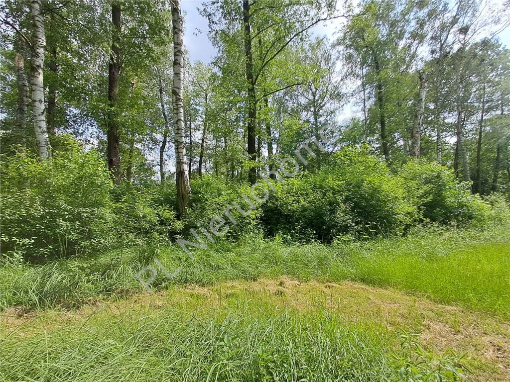 gratka-G-93529-6 - Widok 2