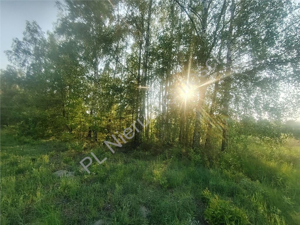 Duża działka budowlana 2210 m²- Opypy - Widok 4