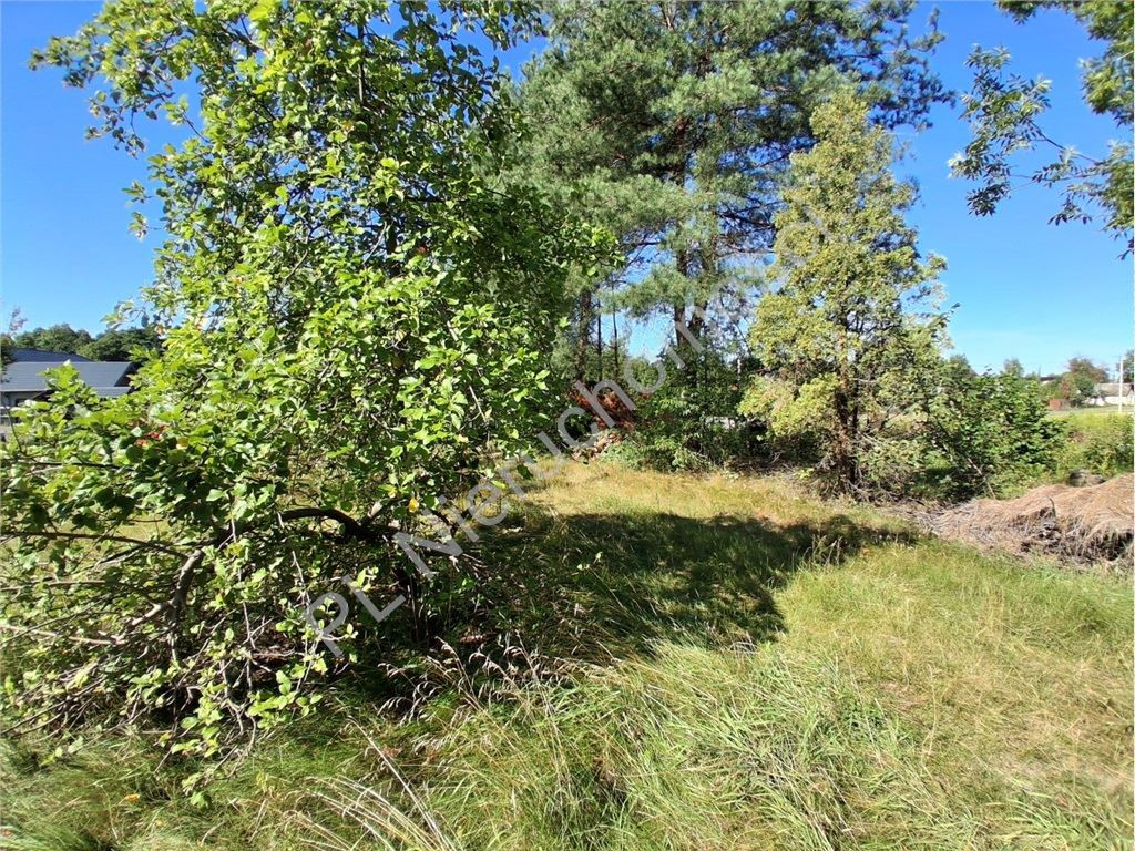 gratka-G-93197-6 - Widok 3