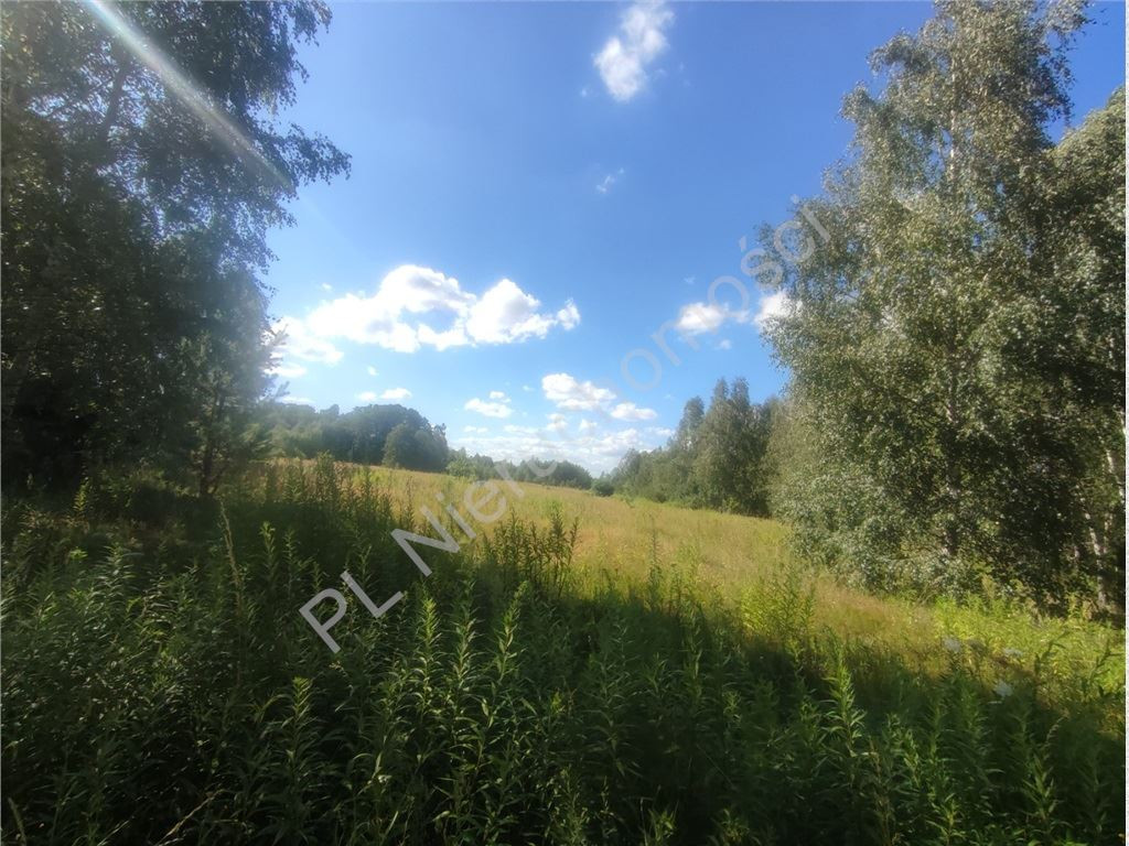 3,79 HA GRUNTU Z MPZP– BIEGANÓW - Widok 4