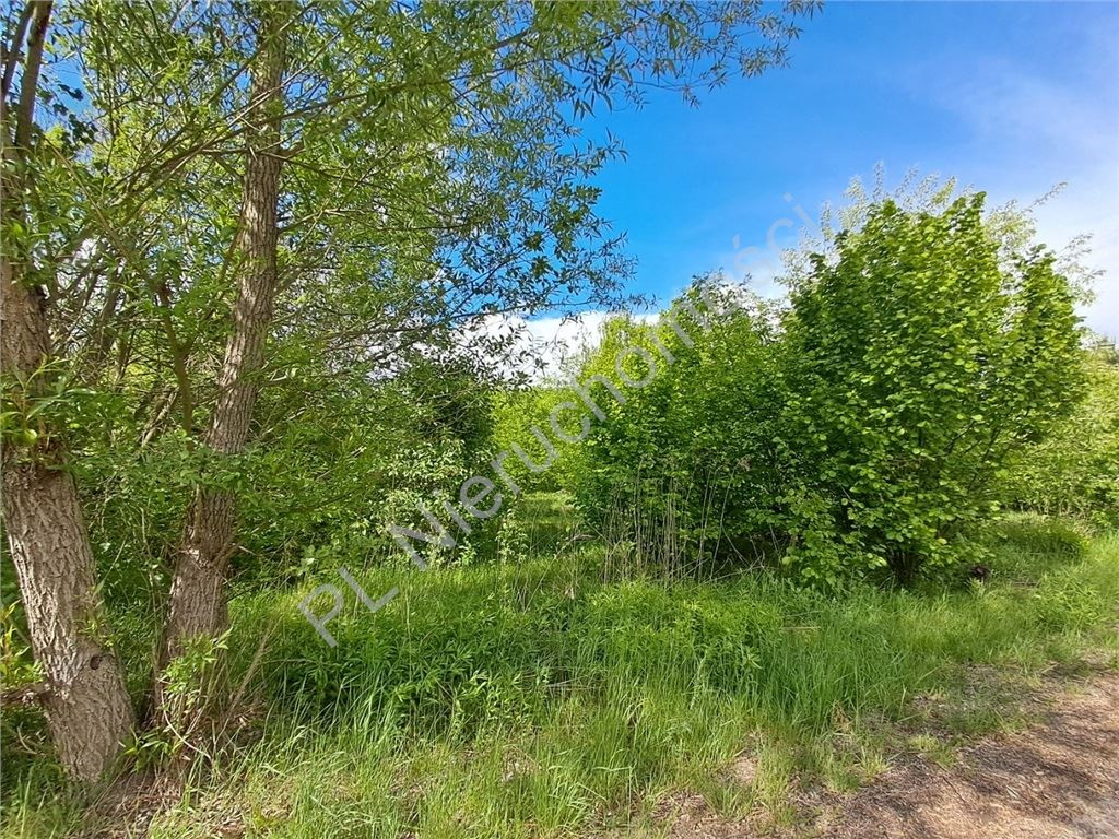 gratka-G-93208-6 - Widok 3