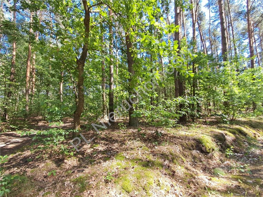 gratka-G-93383-6 - Widok 4