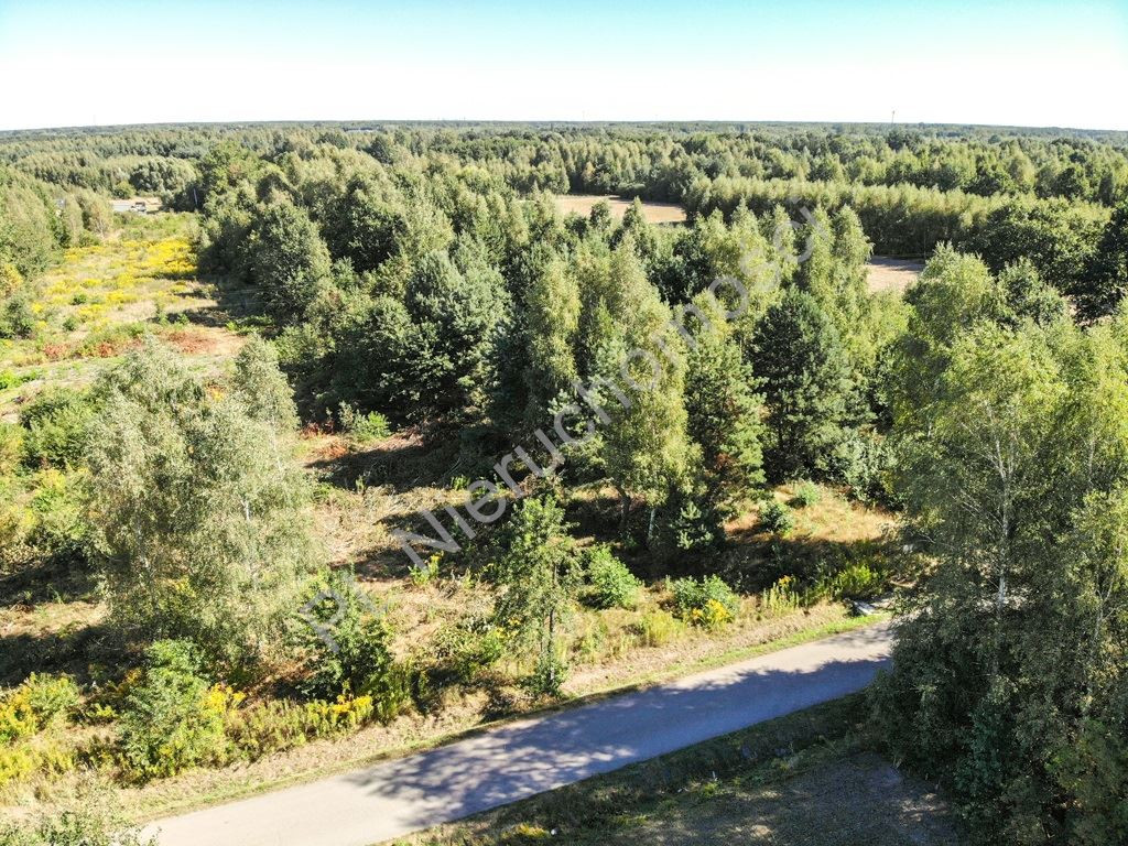 3,29 ha pod halę, magazyn lub produkcję - Więcej