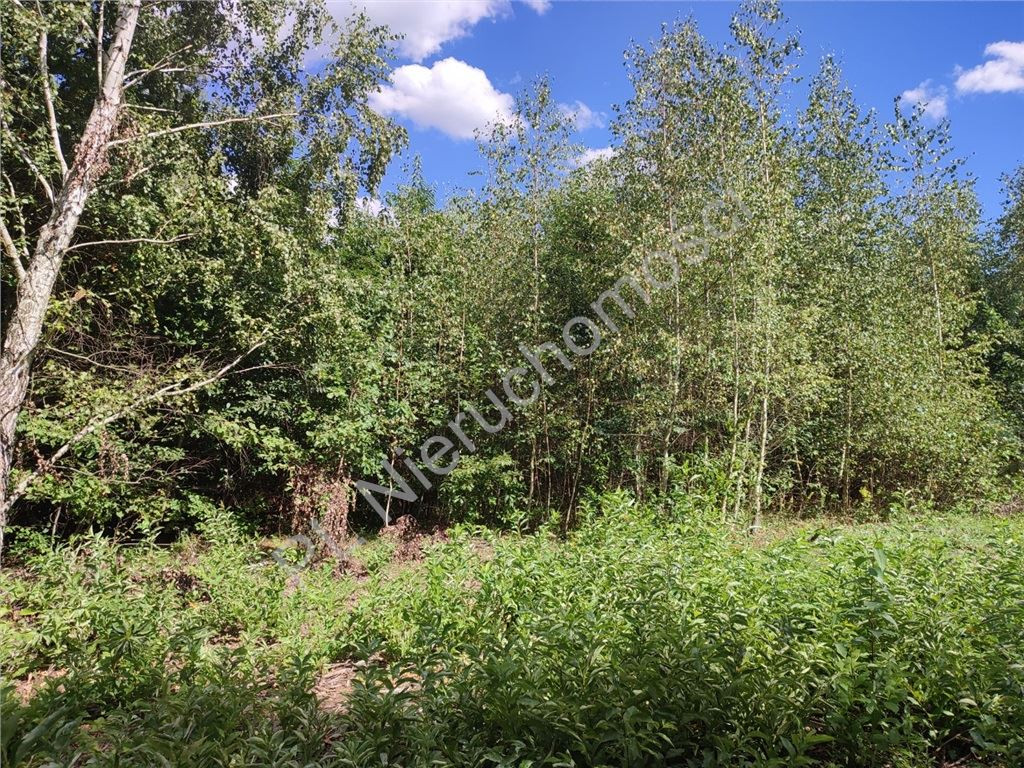 11 005 m² pod inwestycję- blisko S8- gm.Żabia Wola - Widok 3