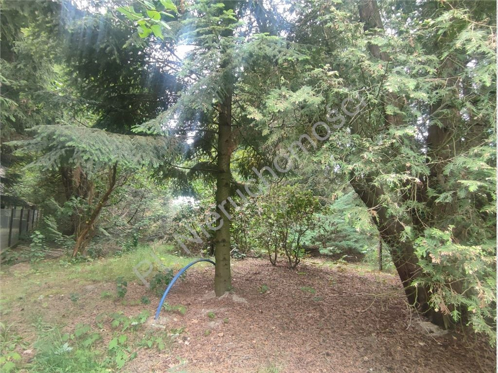 1717 m² w sercu Podkowy Leśnej - Widok 2