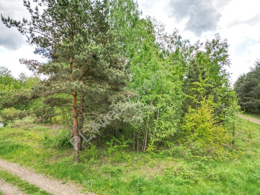 gratka-G-89377-5 - Widok 2