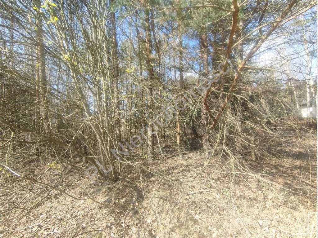 Działka 1,01 ha- MPZP- zabudowa siedliskowa- Skuły - Widok 5