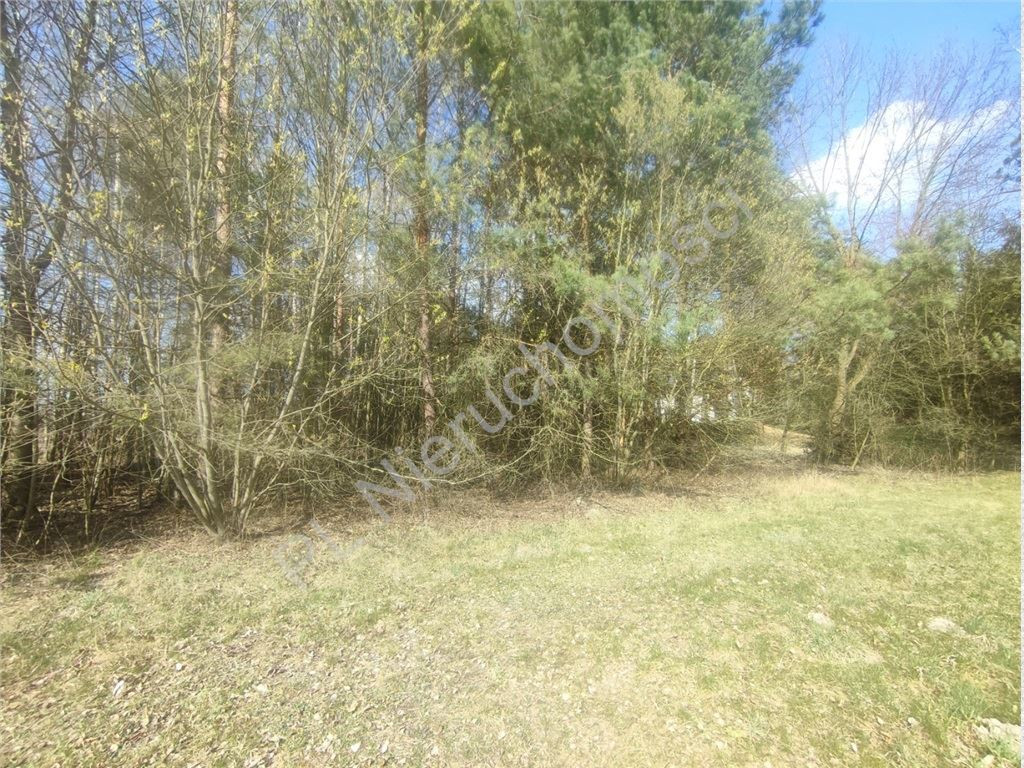 1,01 ha przestrzeni w Skułach– natura, prywatność - Widok 2