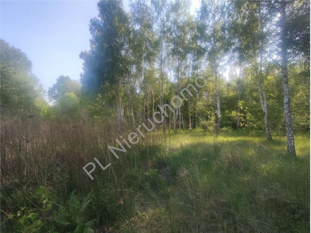 Milanówek- 1960 m²- MPZP - Widok 3