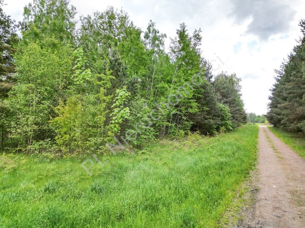 gratka-G-89377-5 - Widok 4