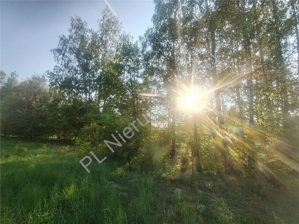 Duża działka budowlana 2210 m²- Opypy - Widok 6