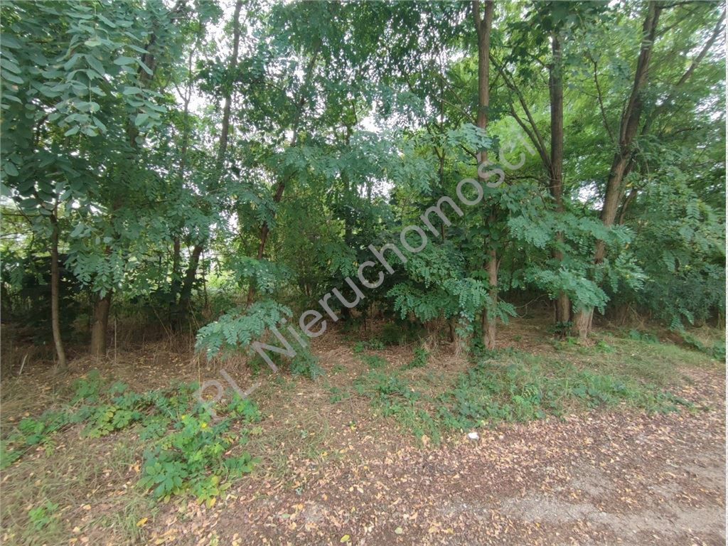 Wyjątkowa działka 2494 m²- prestiżowa lokalizacja - Widok 3