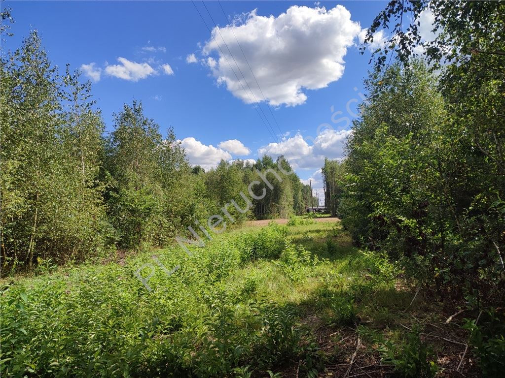 11 005 m² pod inwestycję- blisko S8- gm.Żabia Wola - Widok 4