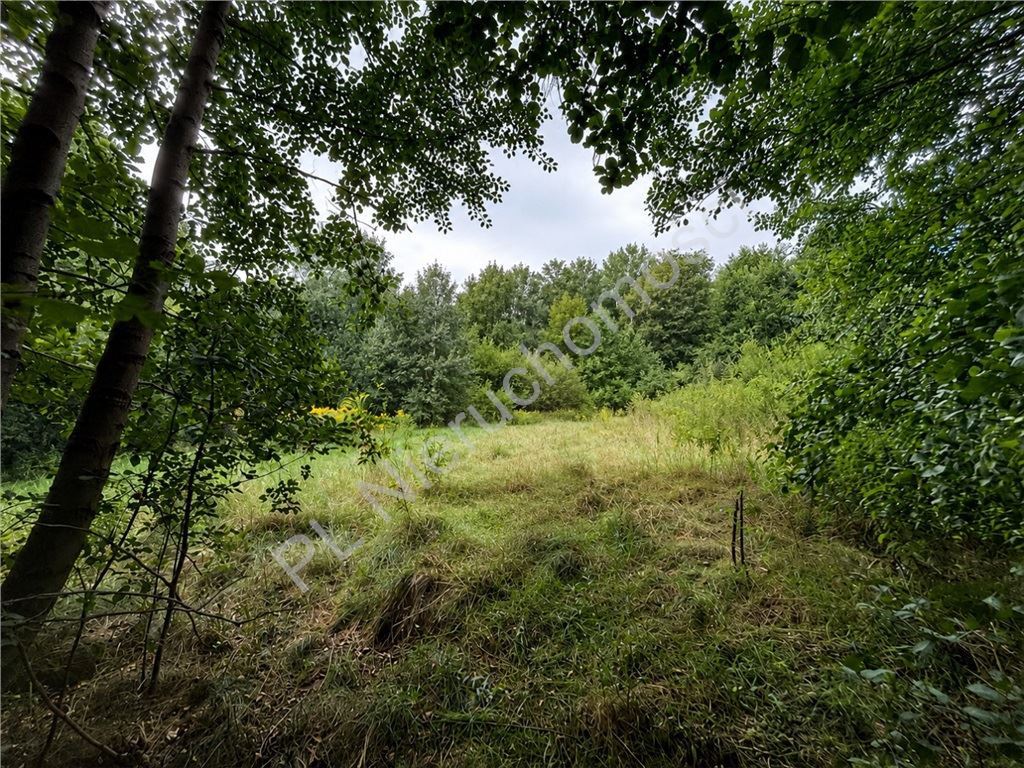gratka-G-93520-6 - Widok 2