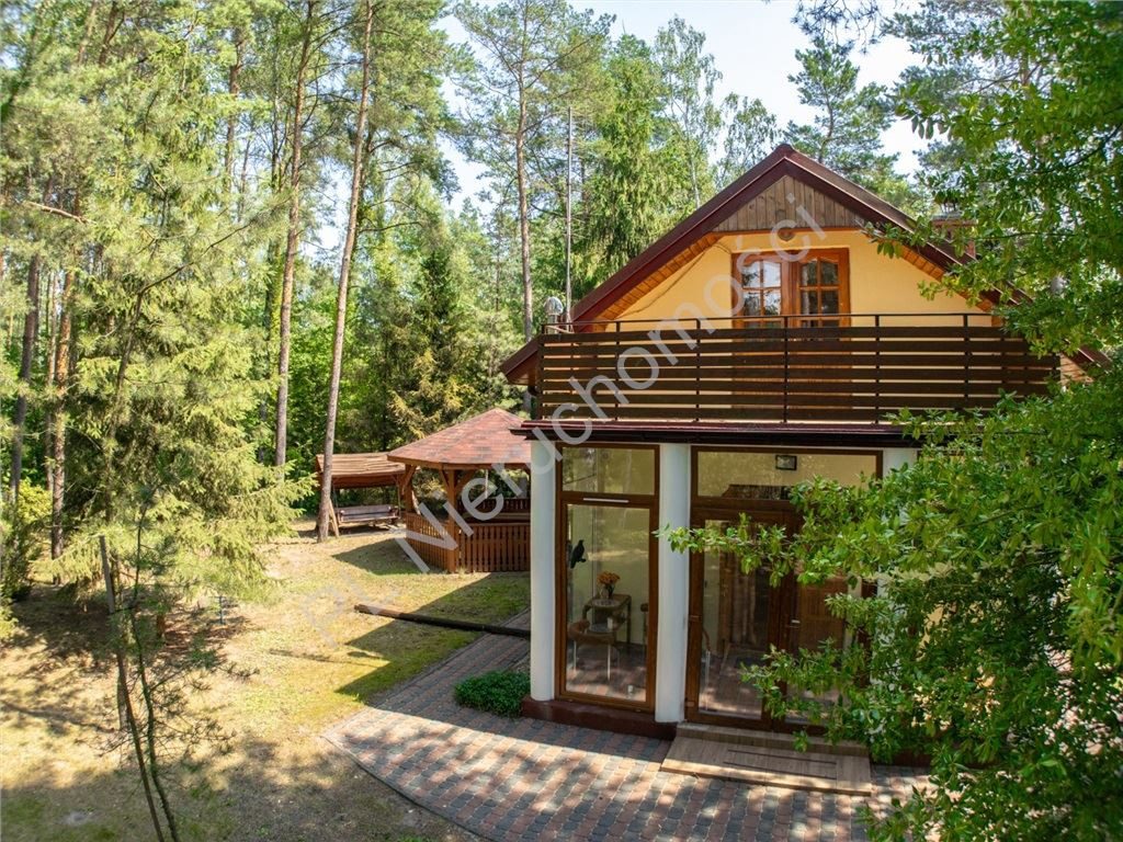 Dom – Żabia Wola, Lasek - Widok 2