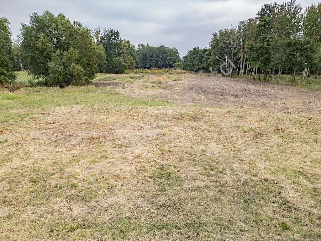 gratka-G-89522-5 - Widok 5