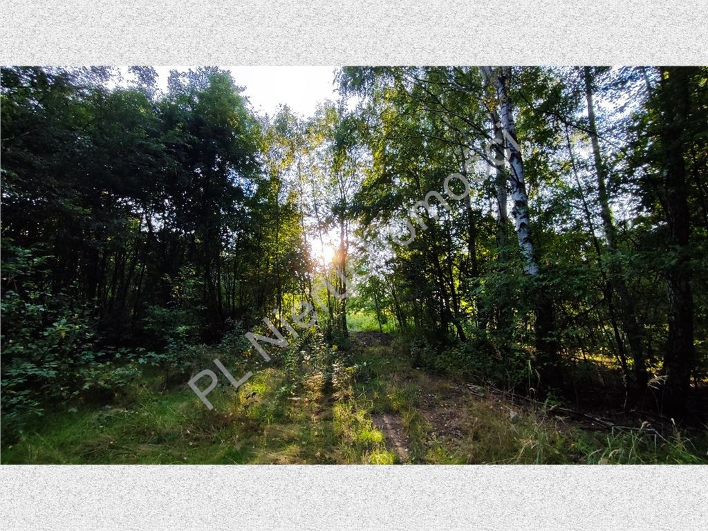 Kup dziś. Zyskaj na wartości jutro - Widok 3