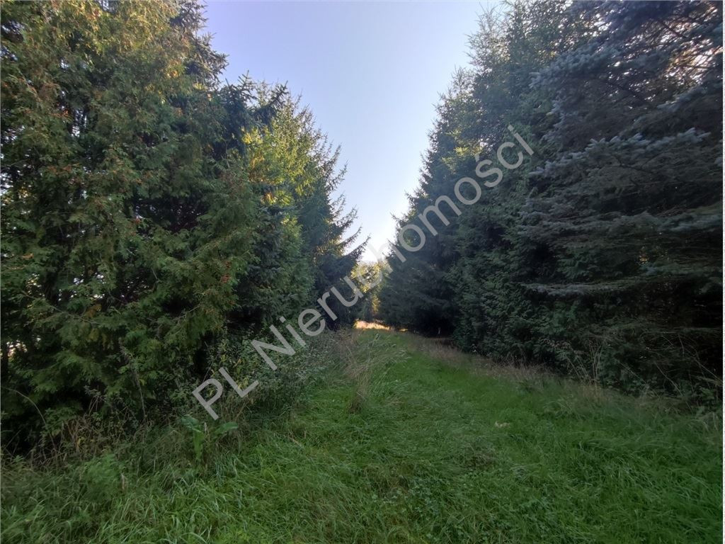 gratka-G-90130-6 - Widok 2