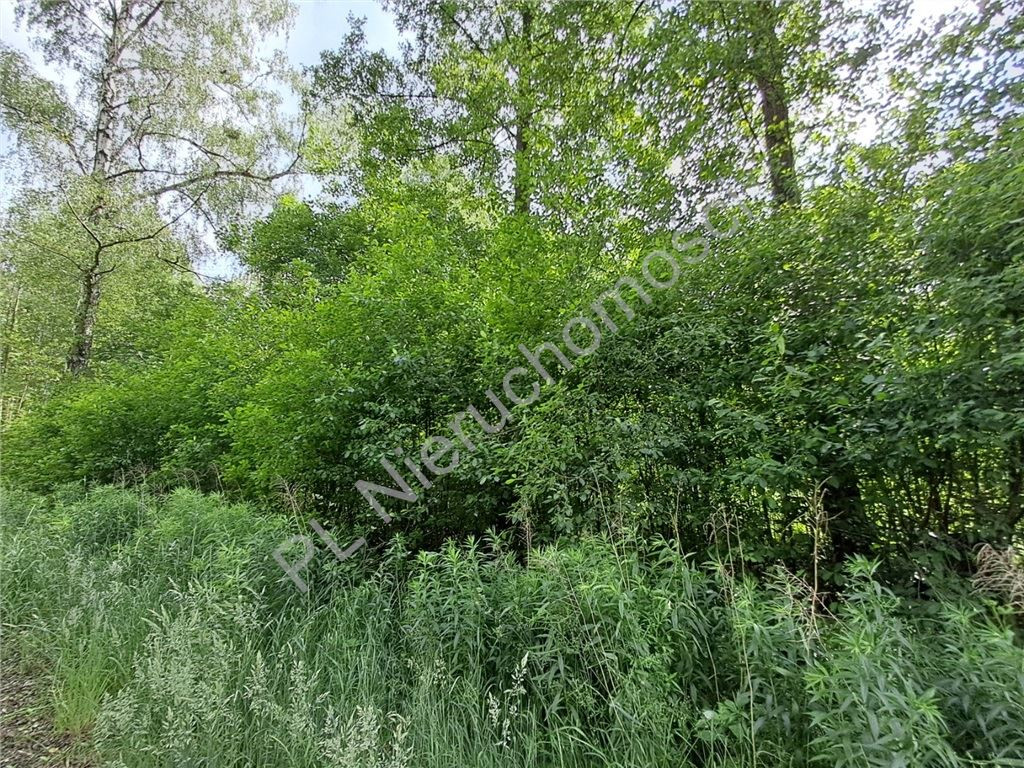 gratka-G-92888-6 - Widok 4