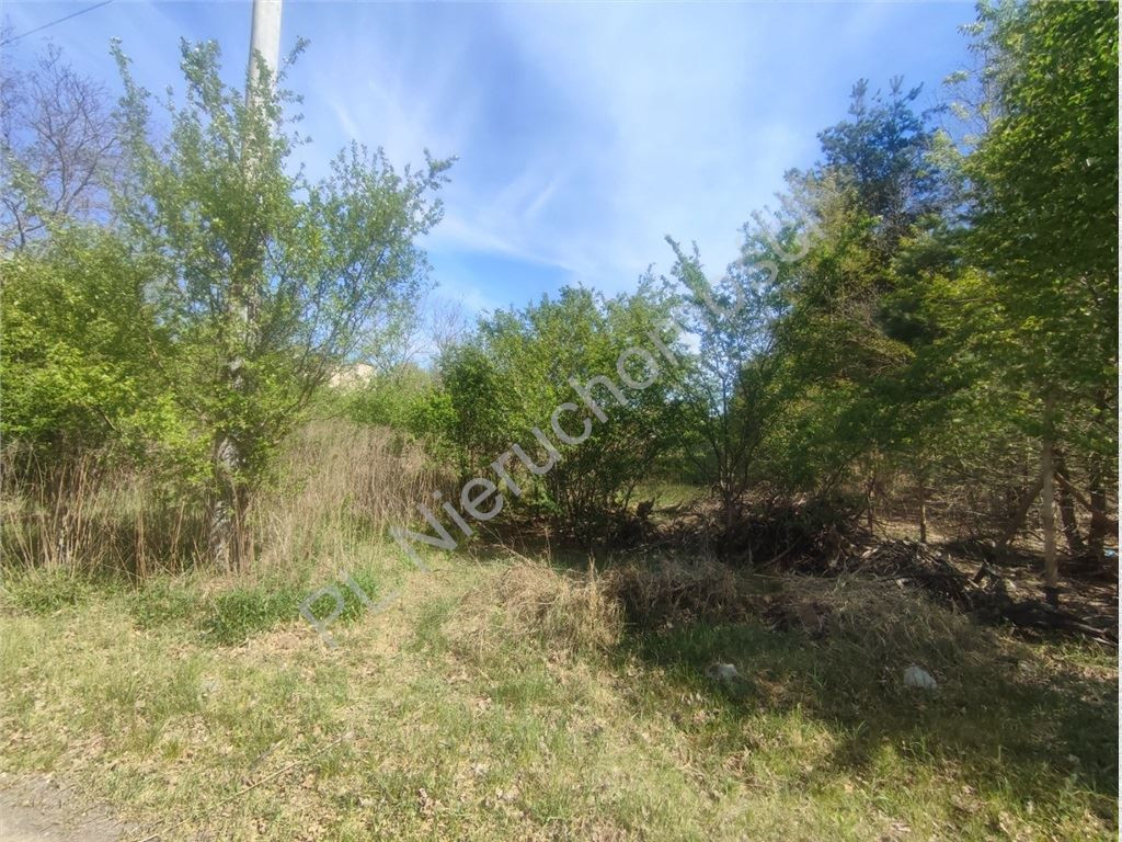 Działka 1013 m² pod dom- Książenice - Widok 4