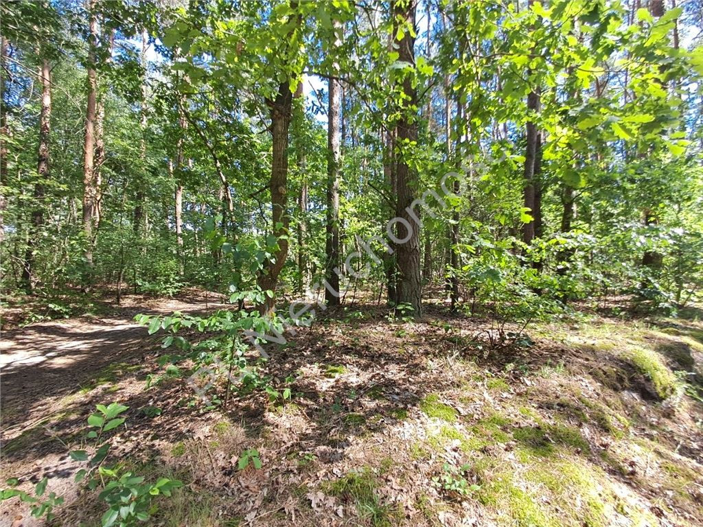gratka-G-93383-6 - Widok 2