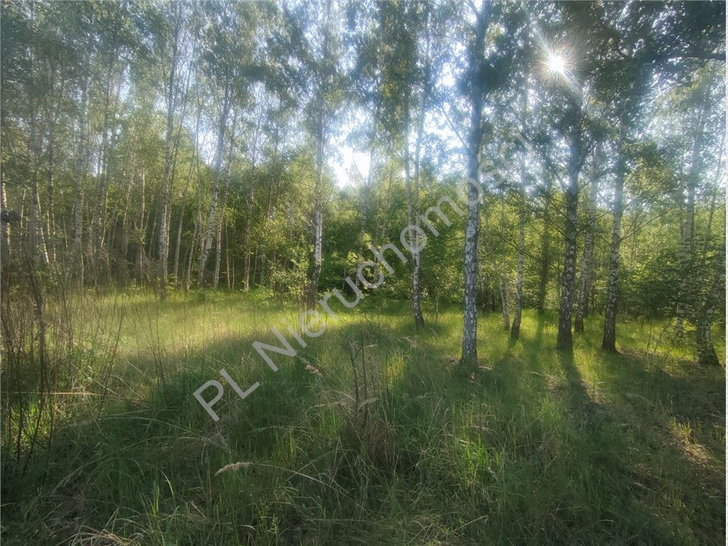 Milanówek- 1960 m²- MPZP - Widok 2