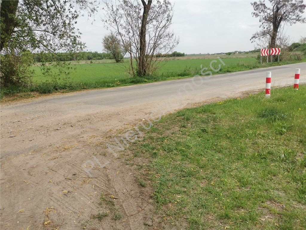3,93 ha pod inwestycję! Blisko A2- Kłudno Nowe - Widok 4