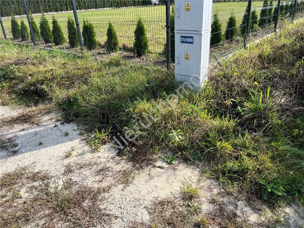 Działka budowlana w Książenicach - Widok 6