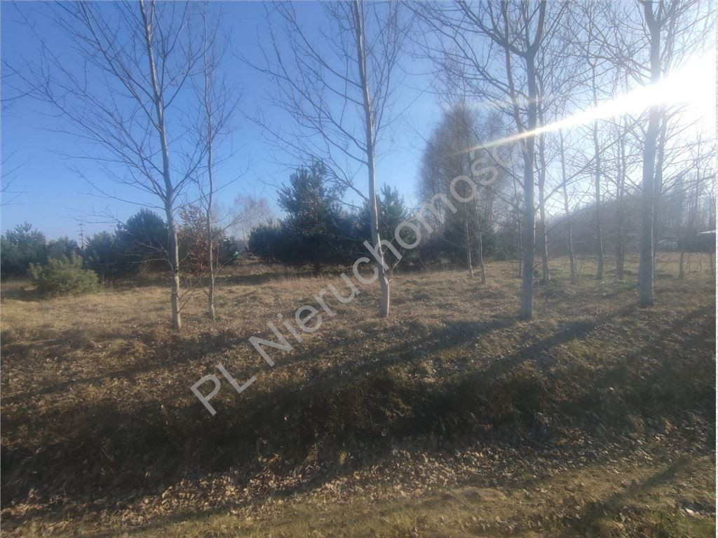 gratka-G-91014-6 - Widok 2
