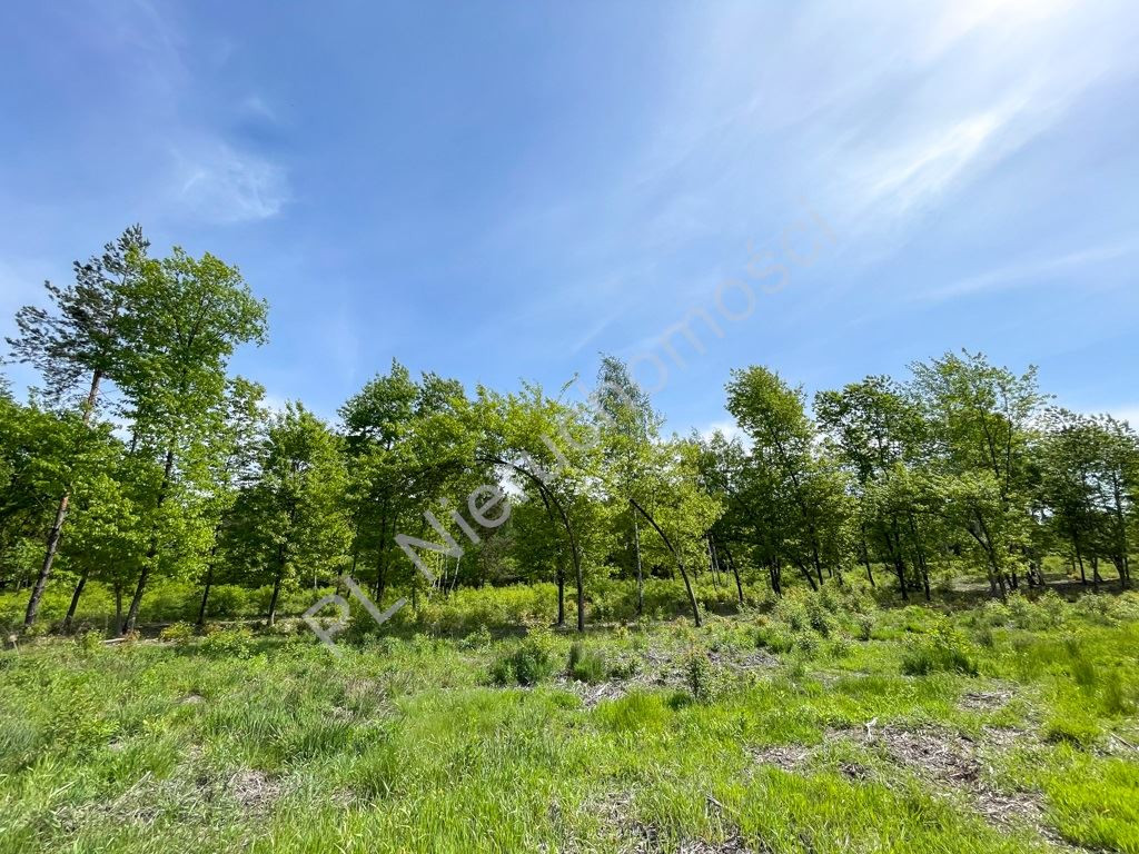 Ojrzanów- działka budowlana 1000 m² wśród zieleni - Widok 6