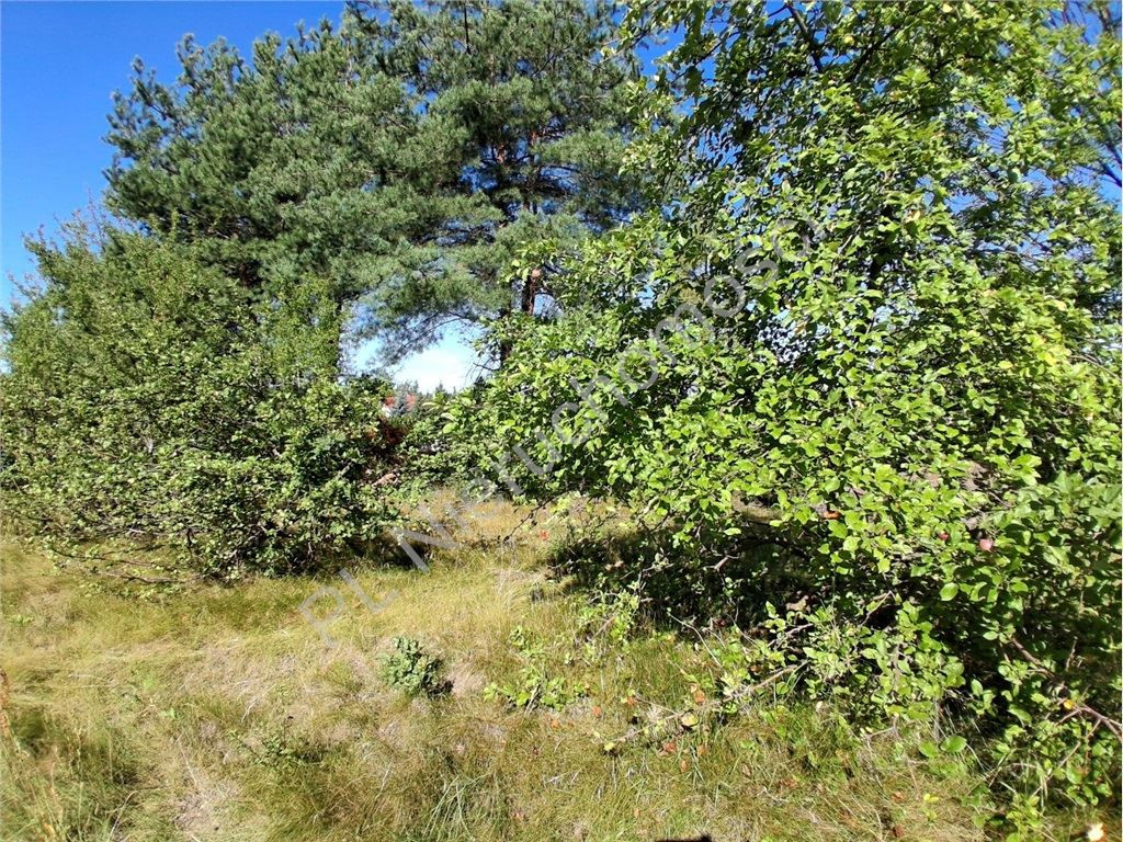 gratka-G-93197-6 - Widok 5