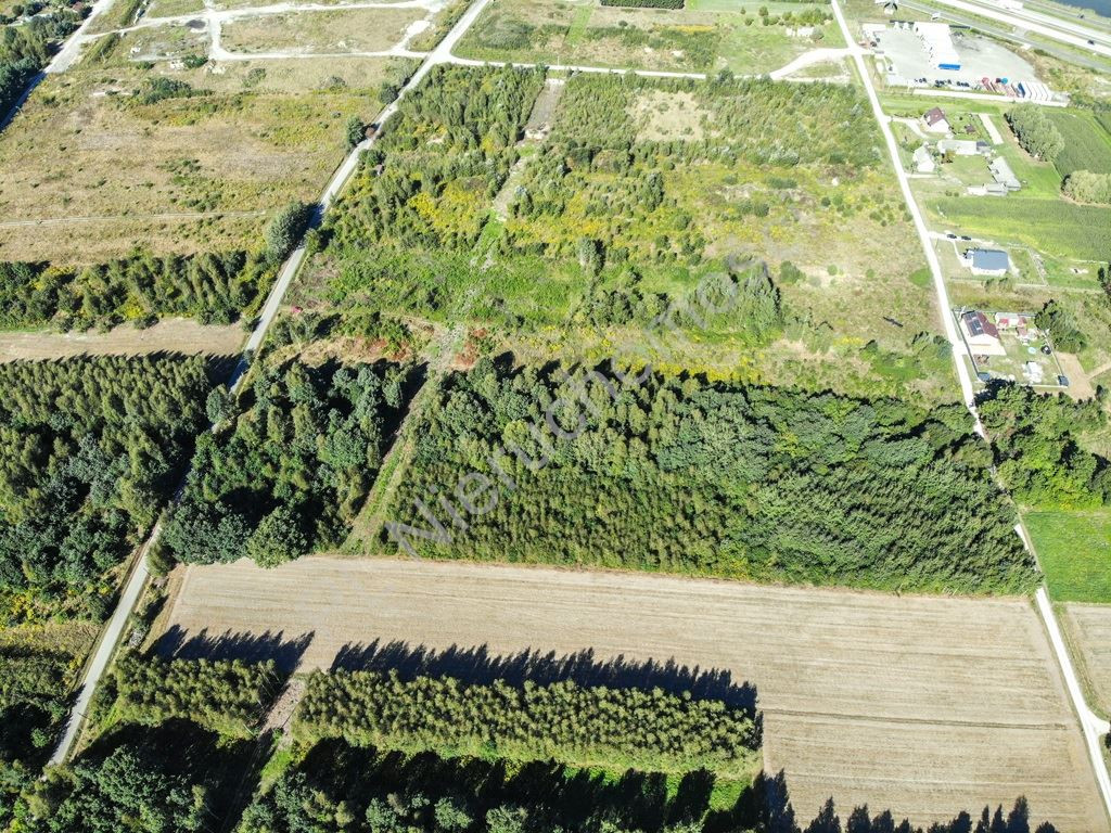 3,29 ha pod halę, magazyn lub produkcję - Widok 3