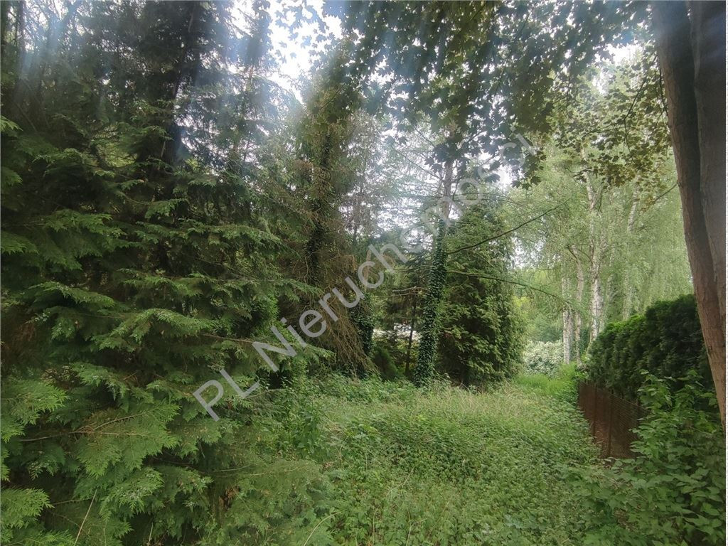 1717 m² w sercu Podkowy Leśnej - Widok 3
